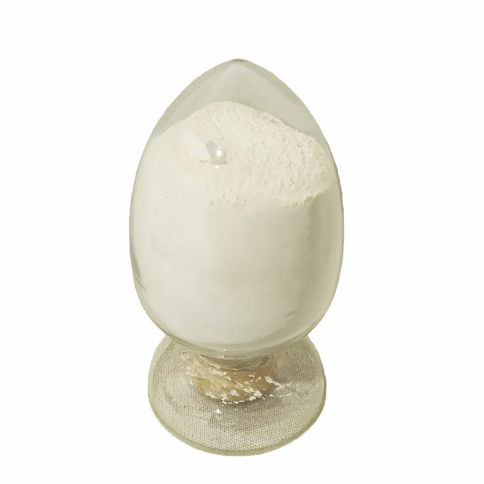 2023082852135737-Photoroompng-Photoroom